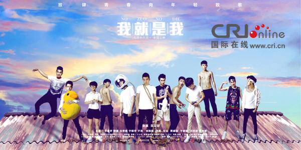 一比一仿捷克签证